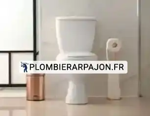 Remplacement de wc Arpajon